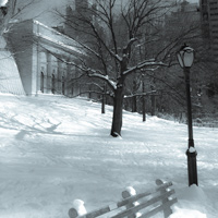 Laurent Schmitt - Central Park