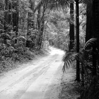 Laurent Schmitt - Fraser Island