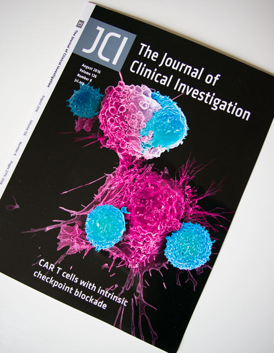 Couverture - JCI New York - 2016