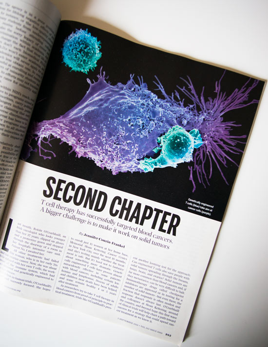 Illustration - Science New York - 2016